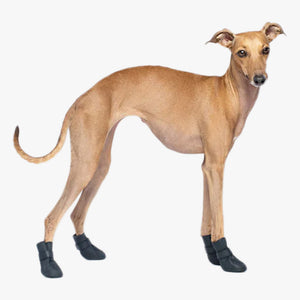 Wellies Unlined Dog Boots by Canada Pooch. Side view of Greyhound wearing black dog boots. Shop vintage & new home décor, lighting & home furnishings as well as novelty gifts & pet accessories online at blueigloo.ca
