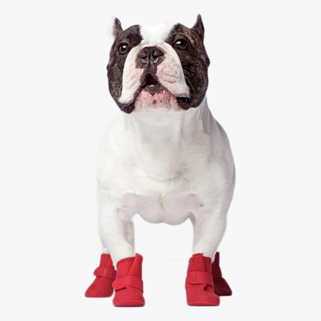 Wellies Unlined Dog Boots by Canada Pooch. Front view of French Bulldog wearing red dog boots. Shop vintage & new home décor, lighting & home furnishings as well as novelty gifts & pet accessories online at blueigloo.ca