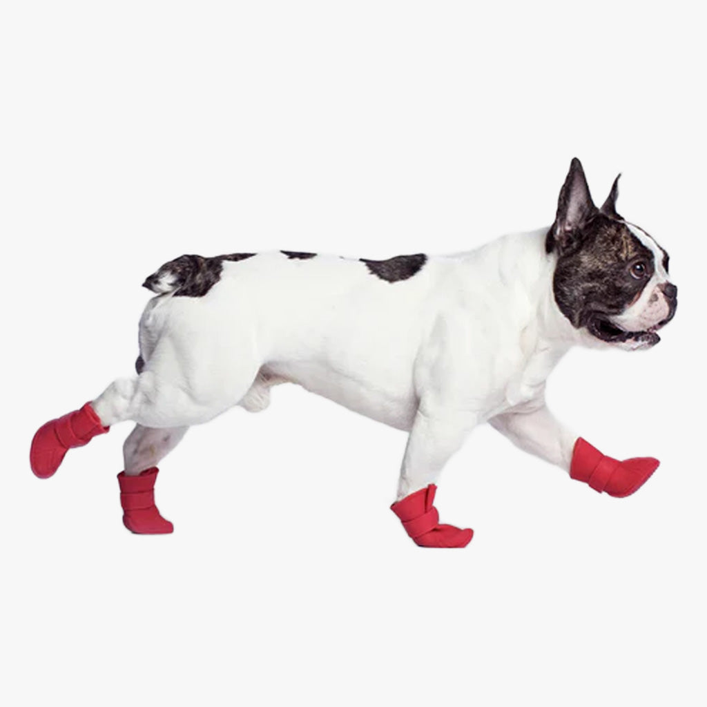 Wellies Unlined Dog Boots by Canada Pooch. Side view of French Bulldog wearing red dog boots. Shop vintage & new home décor, lighting & home furnishings as well as novelty gifts & pet accessories online at blueigloo.ca