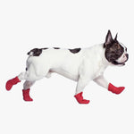 Load image into Gallery viewer, Wellies Unlined Dog Boots by Canada Pooch. Side view of French Bulldog wearing red dog boots. Shop vintage &amp; new home décor, lighting &amp; home furnishings as well as novelty gifts &amp; pet accessories online at blueigloo.ca
